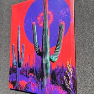 Saguaro Red Tucson Sunset 48”x 36” New free shipping (New)
