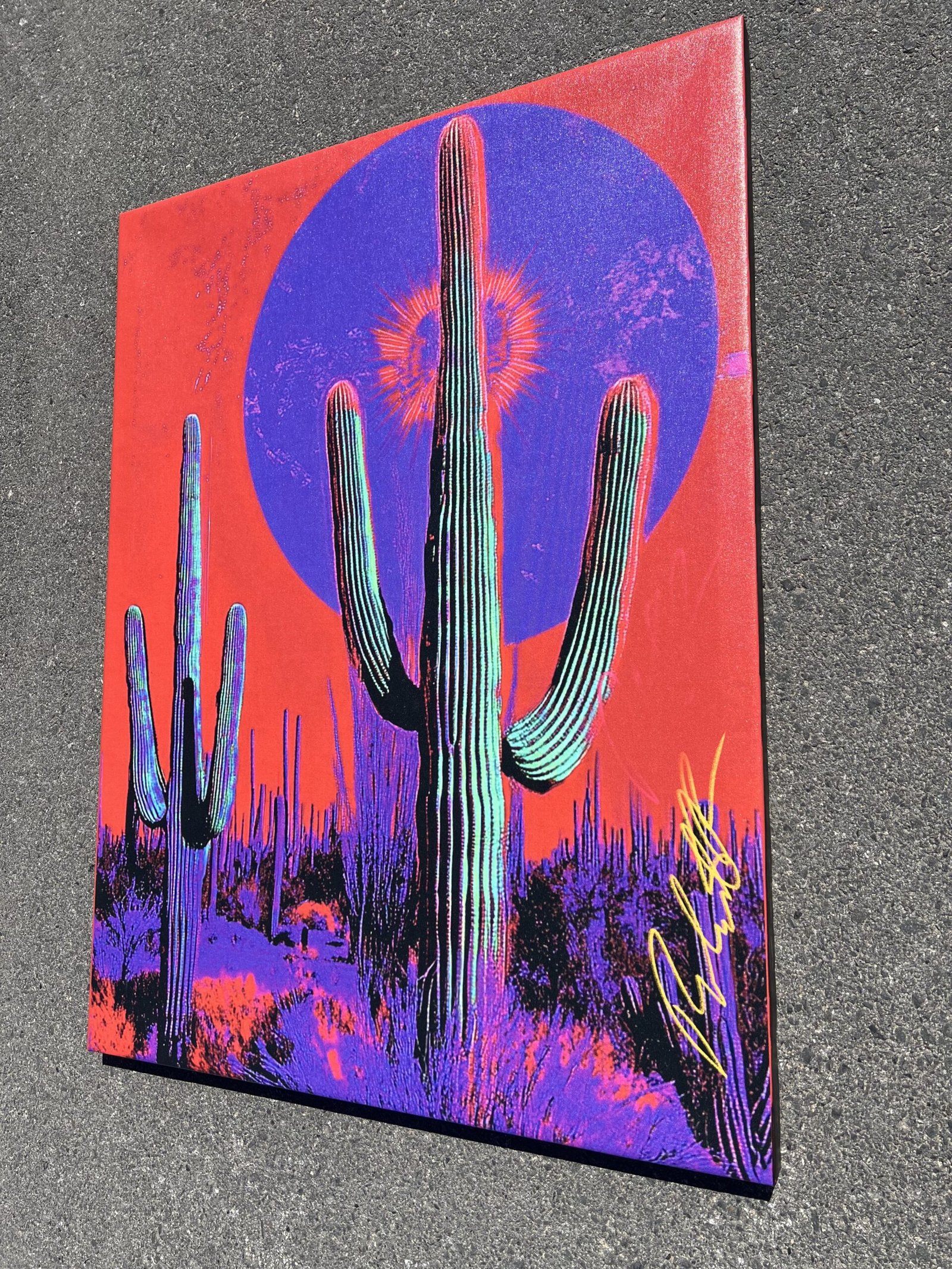 Saguaro Red Tucson Sunset 48”x 36” New free shipping (New)
